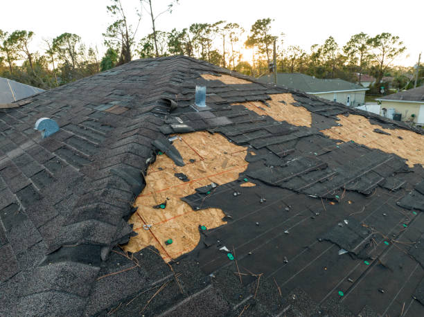 Best Chimney Flashing Repair  in Tea, SD